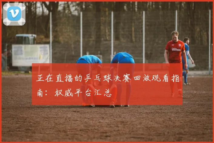正在直播的乒乓球决赛回放观看指南:权威平台汇总